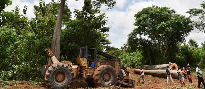 La Cote d'Ivoire a pris conscience de la necessite d'appliquer une gouvernance vertueuse de son domaine forestier.