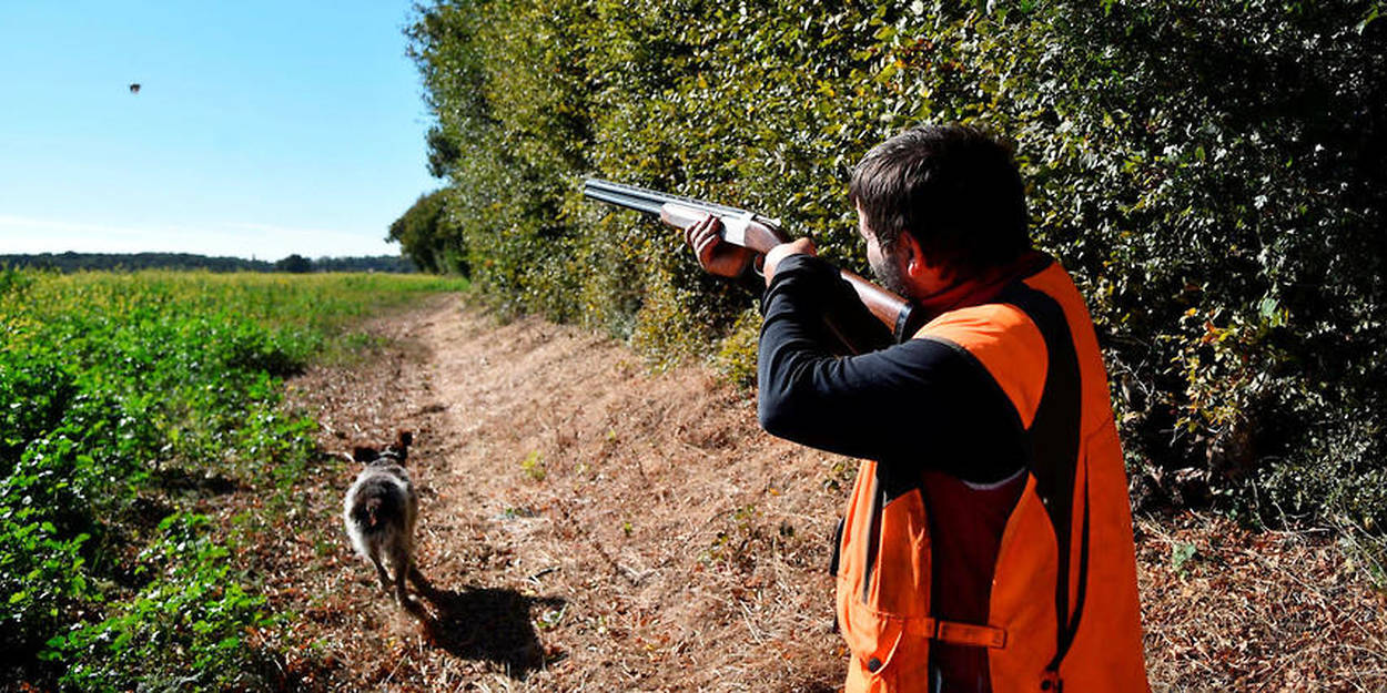 Un chasseur blessé par un tir de fusil… de son chien