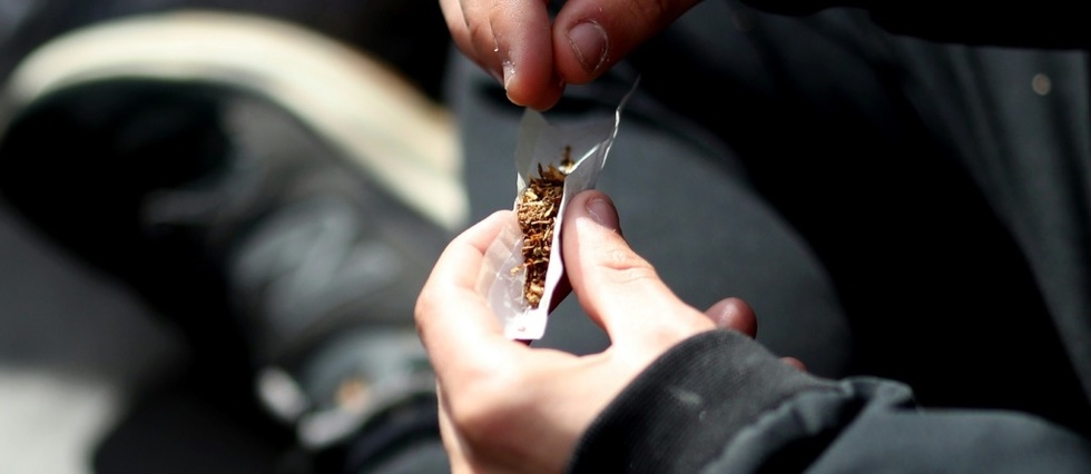 Pour les dealeurs, la legalisation du cannabis, "ca serait galere"