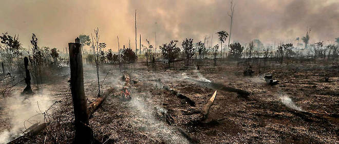  Ce rechauffement s'est aussi accompagne de phenomenes climatiques extremes, comme les feux de foret qui ont touche l'Amazonie en 2019 (photo d'illustration).
