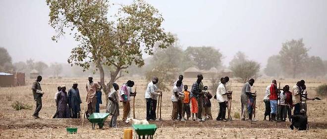 Des paysans construisent des digues pour retenir l'eau pres de Diapaga, au Burkina Faso, en mars 2012. 
