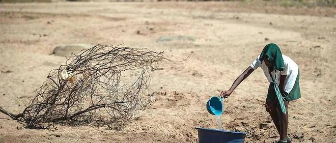 Sécheresse en Afrique australe : ce signal fort du changement climatique -  Le Point