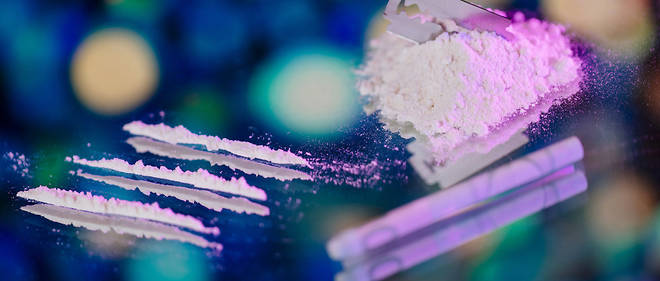 La cocaine representerait 31 % du marche europeen de la drogue.
