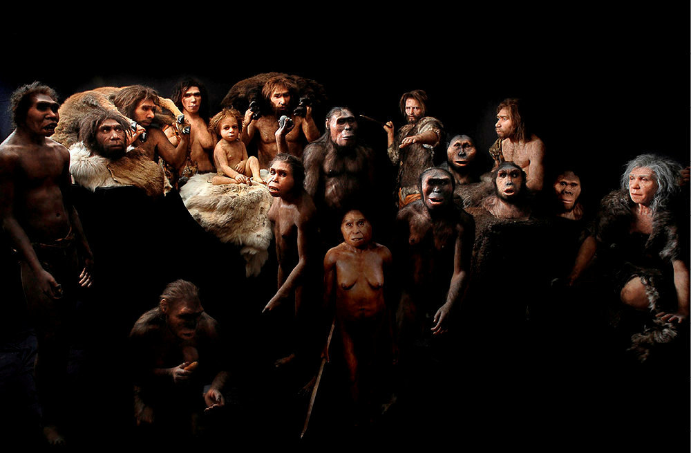 
        Famille. Reconstitution du groupe des hominines d'apres leur evolution a travers les ages.