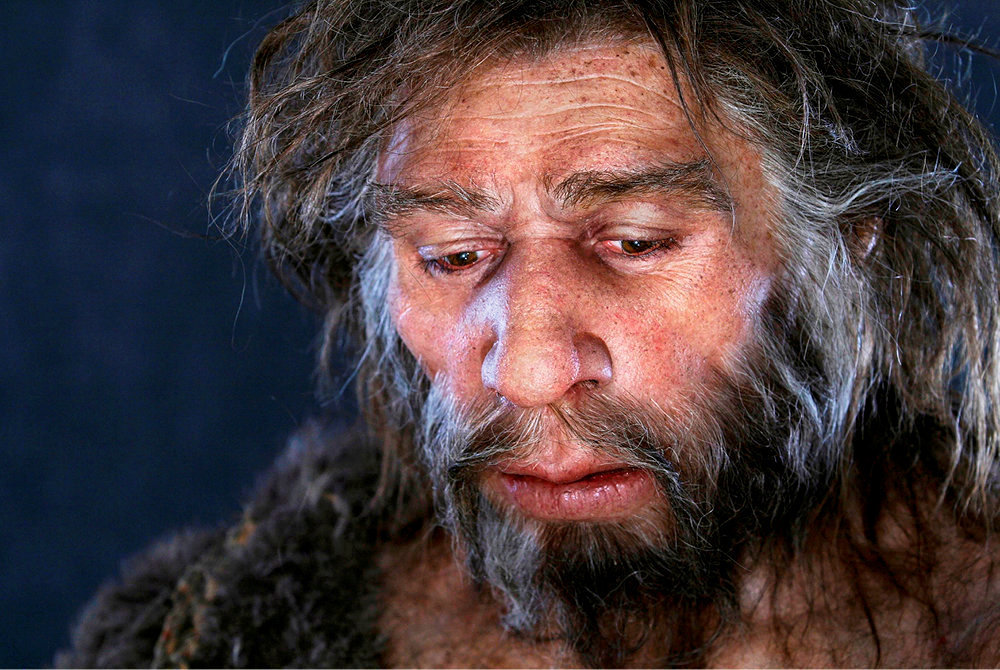 Neandertal Quel Homme Le Point