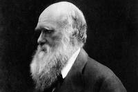 Qui a (toujours) peur de Darwin&nbsp;?