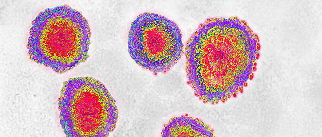La famille des coronavirus compte un grand nombre de virus qui peuvent provoquer des maladies le plus souvent benignes chez l'homme.

