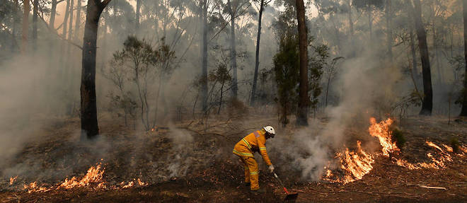 Les incendies ont ravage plus de 100 000 metres carres de terrain en Australie
