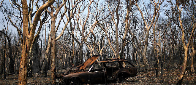 Les incendies qui font rage en Australie depuis septembre ont fait au moins 28 morts. (Illustration)
