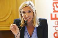 Municipales &agrave; Paris: LR investit une candidate face au maire du XVe