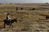 Les bergers afghans menac&eacute;s par la s&eacute;cheresse due au changement climatique
