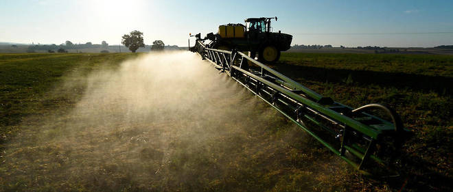 Les agriculteurs francais utilisent entre 500 et 700 tonnes de substances fongicides SDHI par an.
