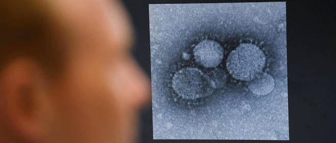 Un virologue scrute une forme proche du nouveau coronavirus (illustration).
