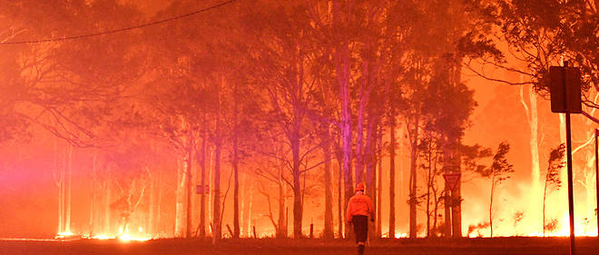 Incendies en Australie, en decembre 2019.
