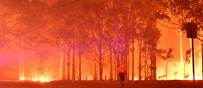Incendies en Australie, en decembre 2019.
