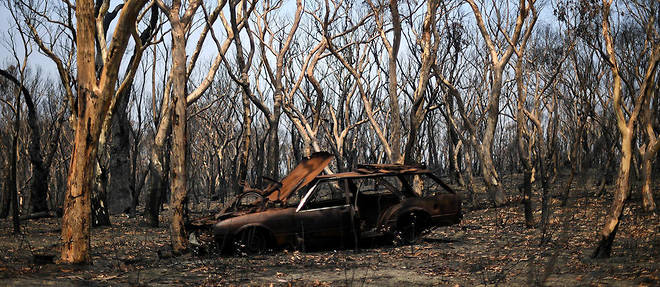 Les feux de cet hiver ont fait au moins 33 morts et detruit une surface de 100 000 km2 .
