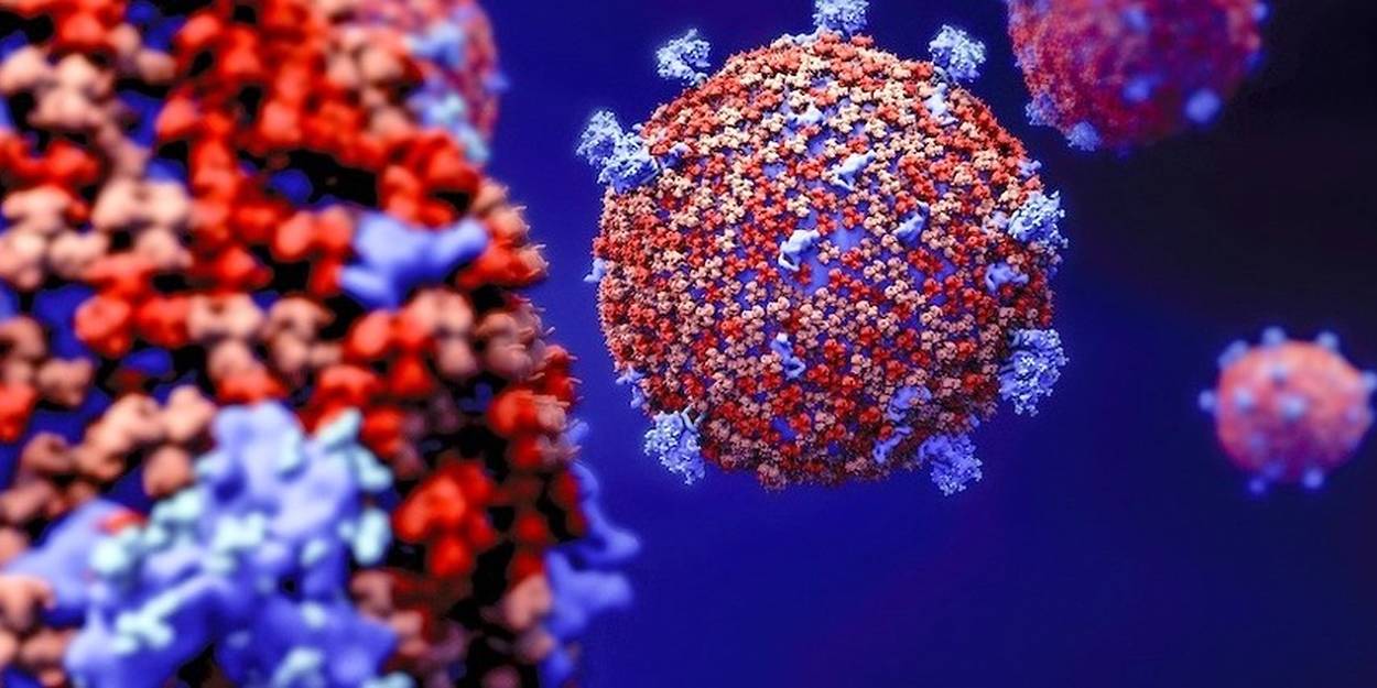 Coronavirus : un douzième cas confirmé en France - Le Point