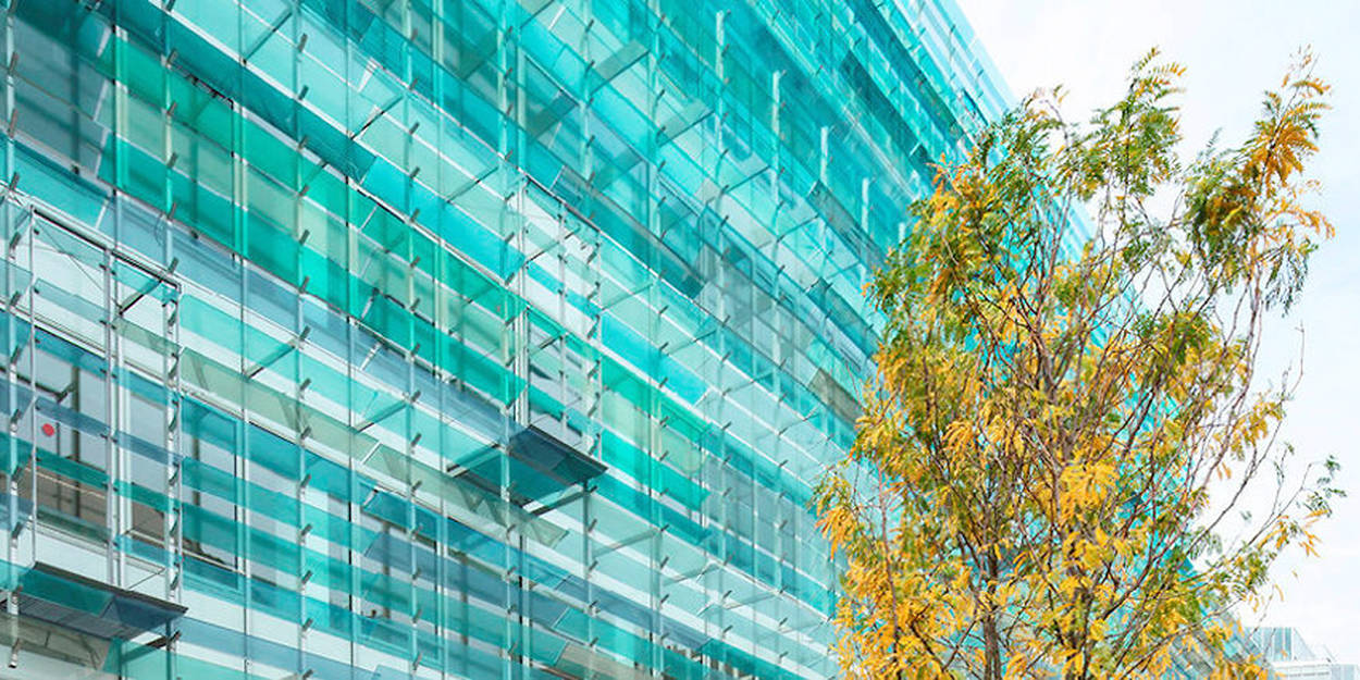 Architecture Une façade impressionniste à Paris SaintLazare