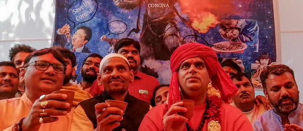 Inde: des devots hindous boivent de l'urine de vache pour se proteger du coronavirus