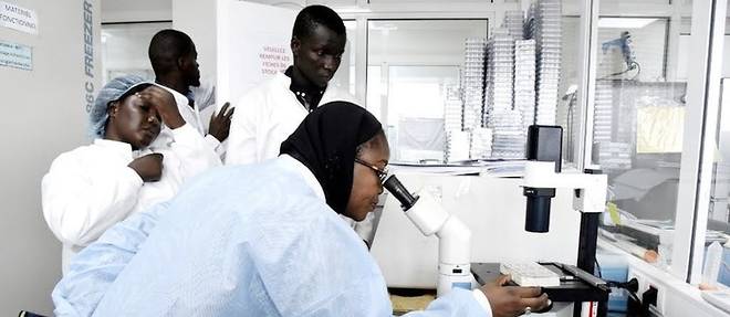 Des scientifiques travaillent sur le coronavirus dans un laboratoire securise a l'Institut Pasteur de Dakar, le 3 fevrier 2020. 
