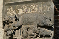 
Le haut-relief << Judensau >> (<< Truie des juifs >>) sur l'eglise de la ville de Lutherstadt Wittenberg.
