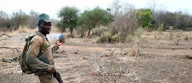 Implique dans la lutte contre les braconniers et pour la securite de la zone, un eco-garde dans le parc de Nazinga, au Burkina Faso. 
