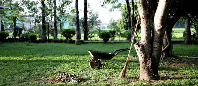 Profiter des premiers rayons de soleil pour ressortir les outils et la brouette, compagne indispensable du jardinier !

