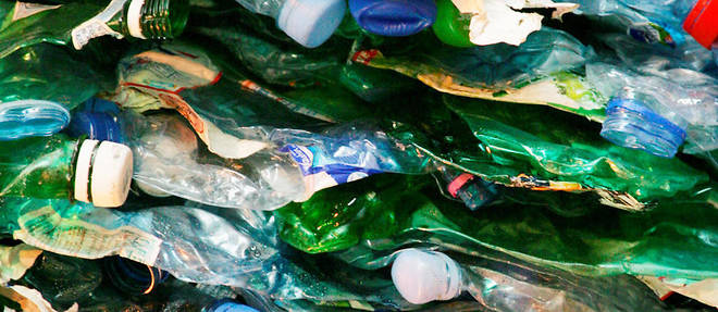 Des bouteilles en plastique. Photo d'illustration
