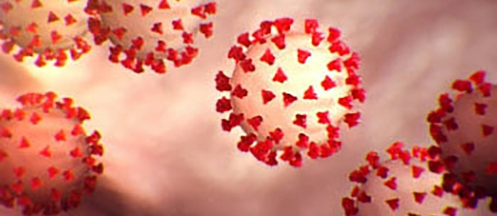 Plus d'un quart des Francais pensent que le coronavirus a ete fabrique en laboratoire
