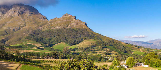 Les vignobles de Franschhoek, l'une des etapes majeures de la Route des jardins sillonnant le Cap-Occidental en Afrique du Sud.
