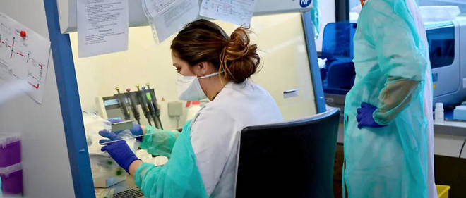 Le personnel de l'Institut Hospitalo-Universitaire (IHU) Mediterranee Infection en plein travail. C'est a l'IHU qu'ont ete menes les premiers essais francais pour evaluer le potentiel therapeutique de l'hydroxychloroquine. 
