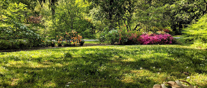 En France, une belle pelouse reste la signature de tout jardin qui se respecte.
