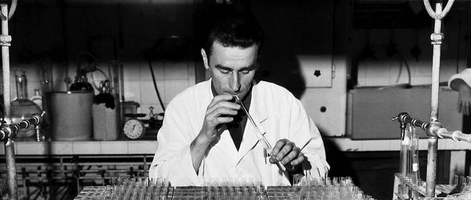 Un chercheur de l'Institut Pasteur, occupe a la preparation du vaccin anti-grippe a Paris, le 11 decembre 1969. L'epidemie de la grippe de Hongkong a atteint cette annee-la la plupart des regions francaises...
