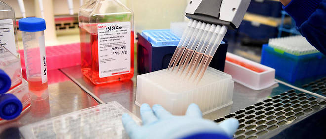 De nombreux laboratoires du monde entier travaillent sur un vaccin.
