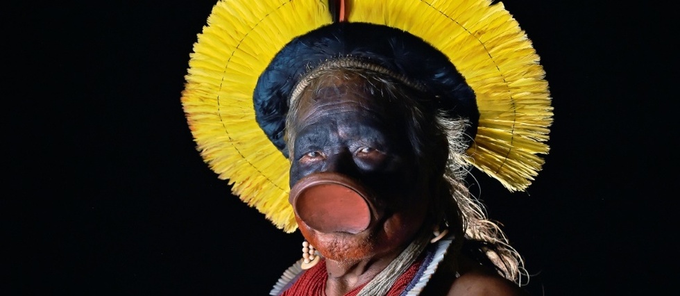 Selon Raoni, Bolsonaro "profite" du coronavirus contre les indigenes