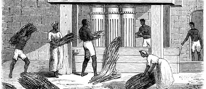Gravure du XIXe siecle representant des esclaves noirs travaillant a extraire le jus des cannes a sucre.
