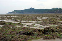  Six plages bretonnes et une plage normande ont ete fermees depuis le debut du mois de juillet a cause des algues vertes. (Photo d'archive). 