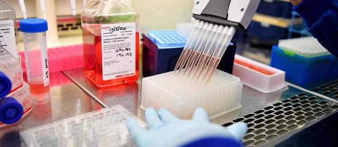 De nombreux laboratoires du monde entier travaillent sur un vaccin.
