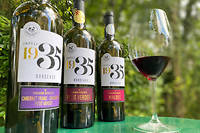 Terres de vignerons, qui regroupe plusieurs coopératives bordelaises, lance un trio de bouteilles composées à partir de cépages anciens.
