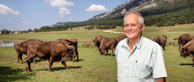 Patrice Longour avec ses bisons.
