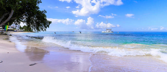 Les plages de la Barbade retrouveront les touristes des le 12 juillet.
