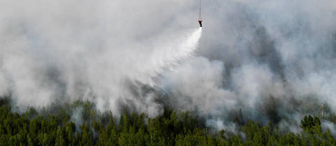 Les incendies continuent de faire rage dans des forets de Siberie. (Photo d'illustration)
