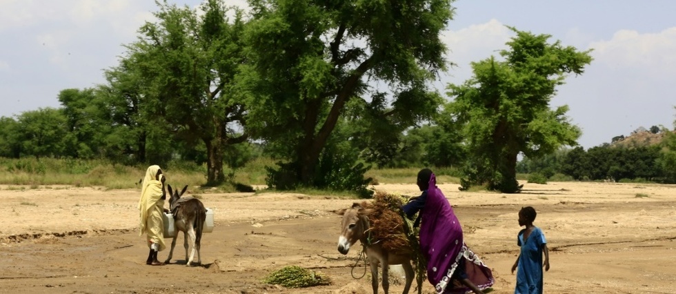 Soudan: une nouvelle tuerie fait plus de 60 morts au Darfour