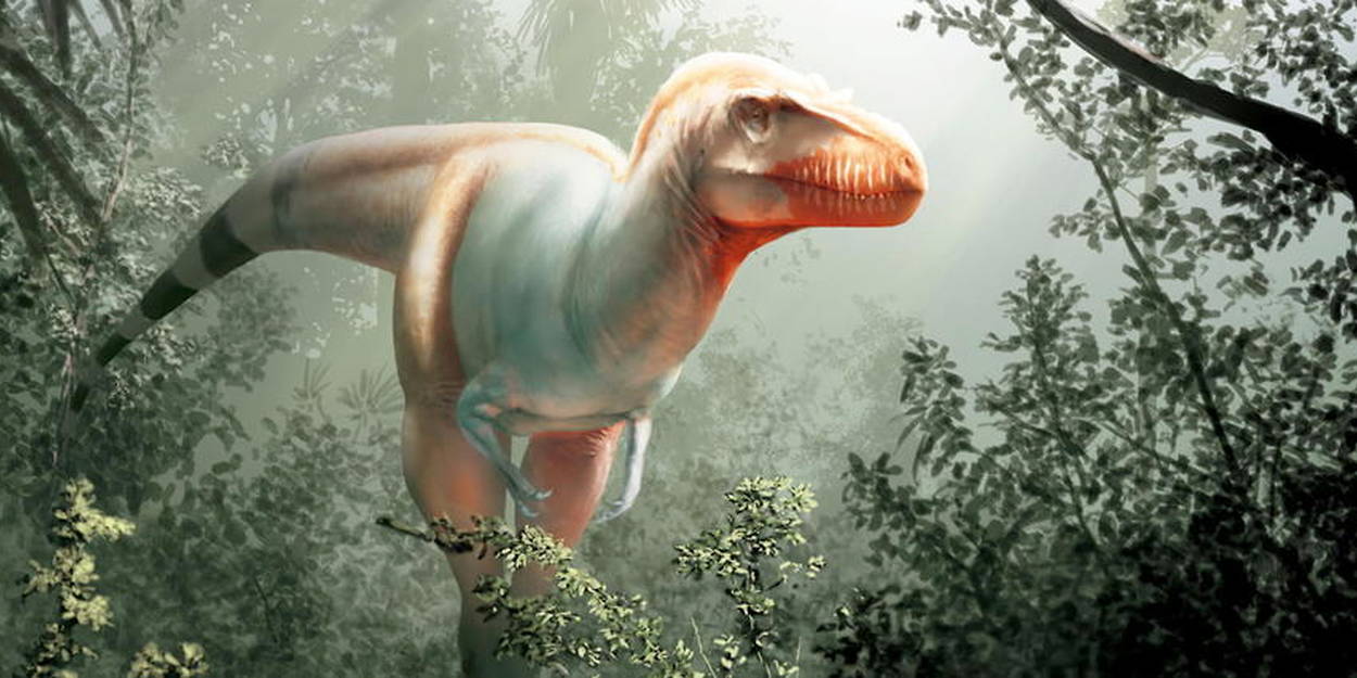 Grande Bretagne Decouverte D Un Nouveau Dinosaure Proche Du T Rex Le Point