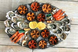 Sur un plateau de fruits de mer, ce sont en général les coquillages, en particulier les huîtres, qui donnent le ton.
