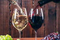 Le prof en libert&eacute; #16 &ndash; Le vin blanc vaut-il le vin rouge&nbsp;?