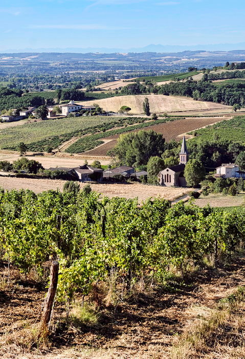 Vin Gaillac Rouge Tradition