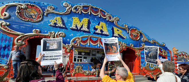 Des militants de la cause animale devant un cirque, en 2016.
