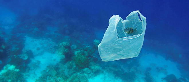 Selon l'agence scientifique du gouvernement australien relayee par << The Guardian >>, cette quantite est 30 fois superieure a celle du plastique en surface des oceans.
