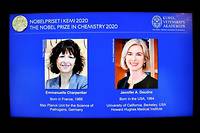 Le Nobel de chimie &agrave; un duo de chirurgiennes des g&egrave;nes, dont une Fran&ccedil;aise